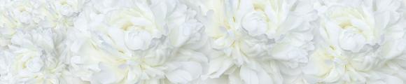 SP 150